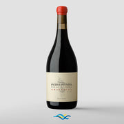Zuccardi Finca Piedra Infinita Gravascal 2021
