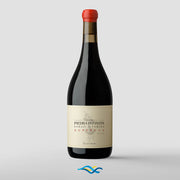 Zuccardi Finca Piedra Infinita Supercal 2020